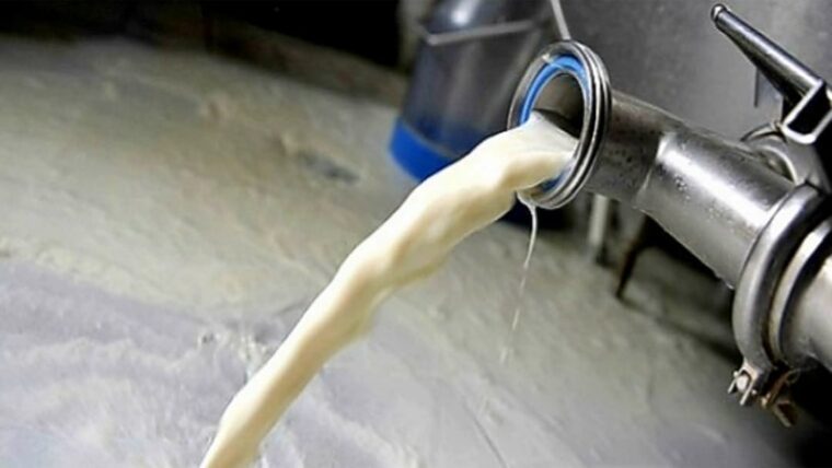Un litro de leche semanal: Nueva distribución de leche para niños menores de 13 años