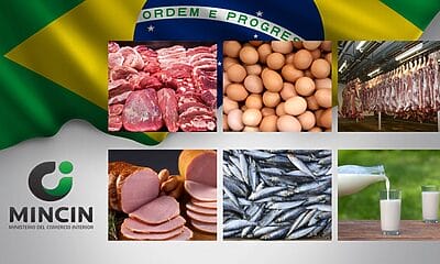 brasil alimentos cuba