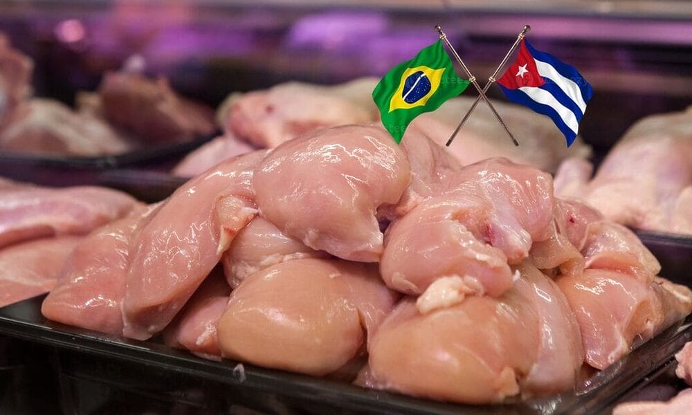 cuba pollo brasil