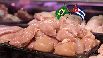 cuba pollo brasil