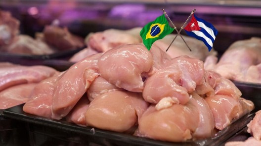 ¡El pollo regresa! Cuba levanta restricciones a Brasil
