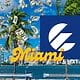 miami etecsa recargas