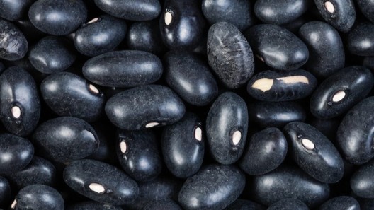 Anuncian venta de frijoles por la bodega a 196 pesos la libra por persona