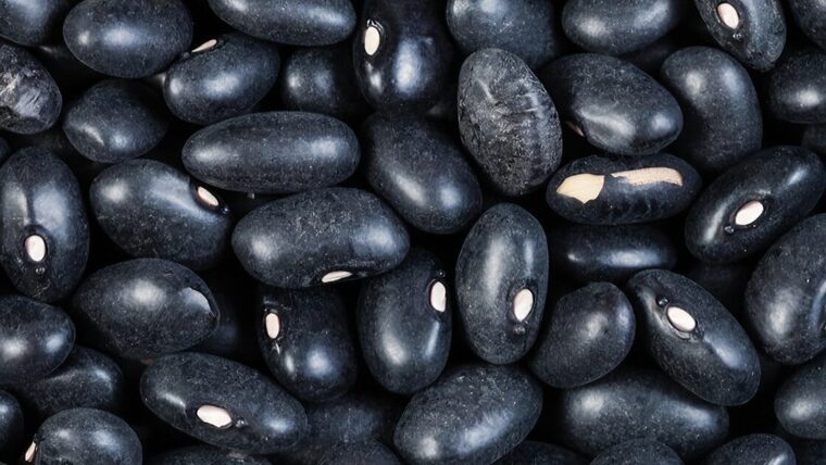 Anuncian venta de frijoles por la bodega a 196 pesos la libra por persona