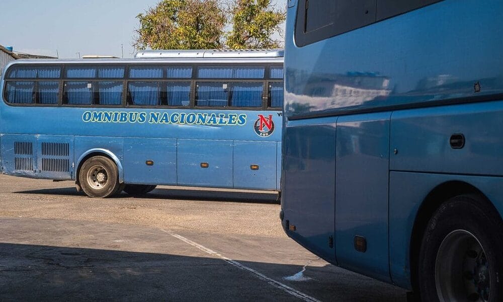 nueva ruta omnibus nacionales
