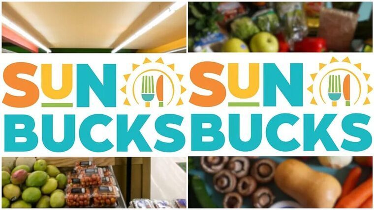 Cupones de alimentos para el verano: fecha límite para aplicar en cada estado