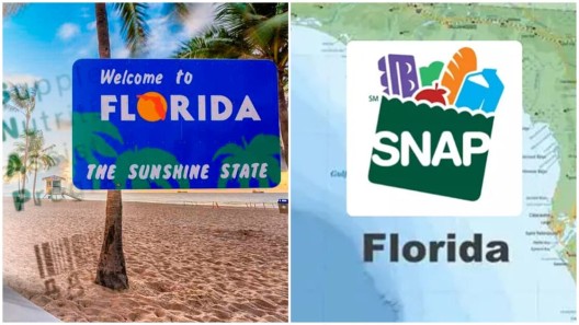 Programa SNAP anuncia sus pagos en Florida para esta semana. Calendario completo