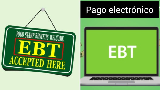 En estas tiendas podrás comprar online con tu tarjeta EBT