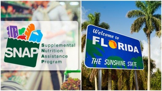 Esta cantidad de dinero recibirás cada mes si eres beneficiario de SNAP en Florida