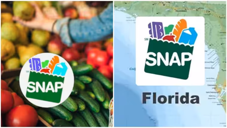 Últimos pagos SNAP de agosto llegan esta semana. Calendario completo en Florida