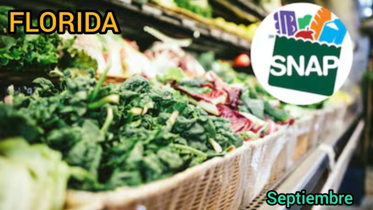 Calendario de pagos SNAP para la primera semana de septiembre en Florida