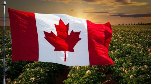 Cubanos que estudien en Canadá podrán evitar este costoso trámite migratorio