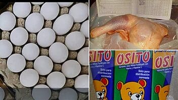 mincin alimentos