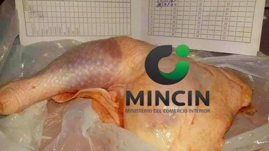 Venta de pollo por la libreta en Cuba: inicia reparto en estos municipios para toda la población