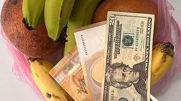 precios divisas cuba hoy