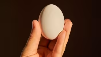 produccion huevos cuba