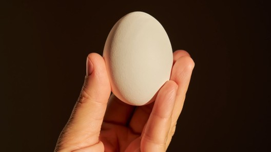 Peor crisis avícola en 60 años: el cartón de huevos supera los 2500 CUP