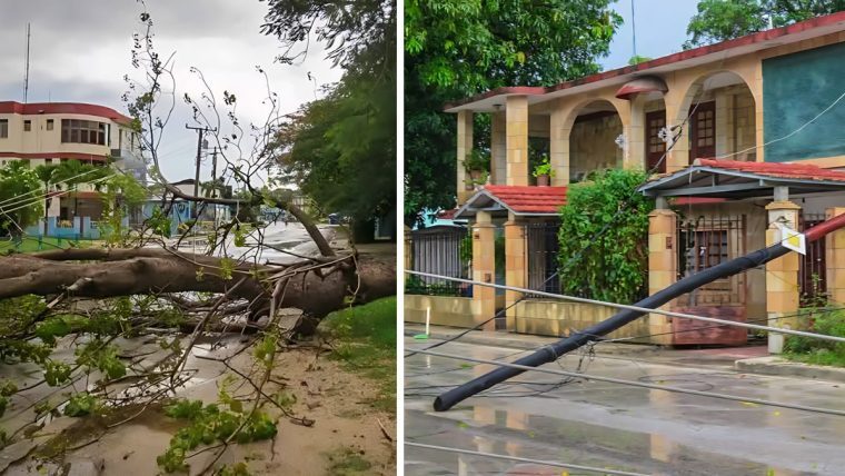 Tormenta local severa derriba tendido eléctrico y árboles en Bayamo