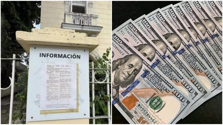 200 dólares a la semana: Miles de cubanos interesados en oferta laboral