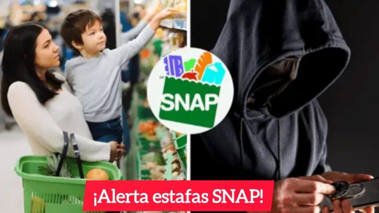 Programa SNAP: si haces esto evitarás ser estafado