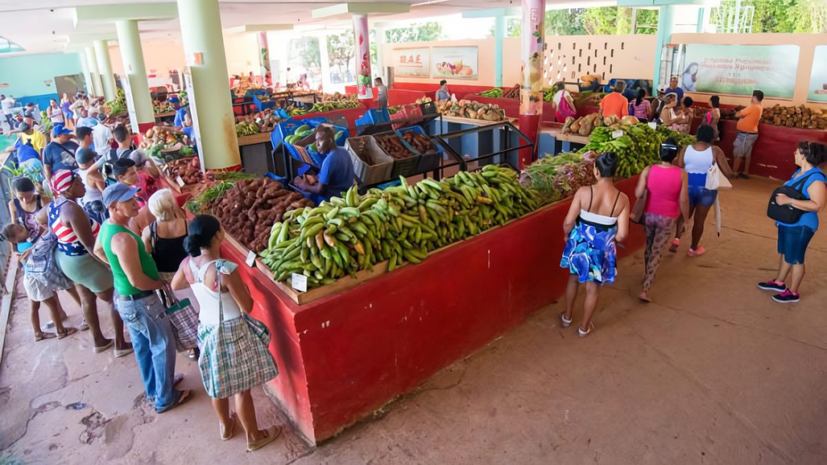 Cuba elimina el Ministerio de la Agricultura y fusiona su gestión en un megaministerio de alimentos