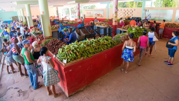 Última hora: Estos son los nuevos precios que ha fijado el gobierno de La Habana para productos agropecuarios