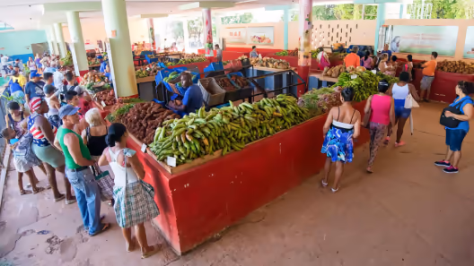 Cuba elimina el Ministerio de la Agricultura y fusiona su gestión en un megaministerio de alimentos