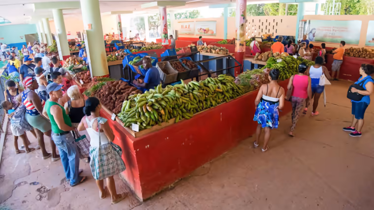Última hora: Estos son los nuevos precios que ha fijado el gobierno de La Habana para productos agropecuarios
