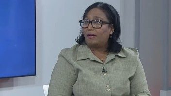 Viceministra de Salud actualiza sobre el virus del chikungunya en Cuba: “no provoca formas graves, pero es muy molesto”