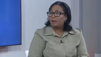Viceministra de Salud actualiza sobre el virus del chikungunya en Cuba: “no provoca formas graves, pero es muy molesto”
