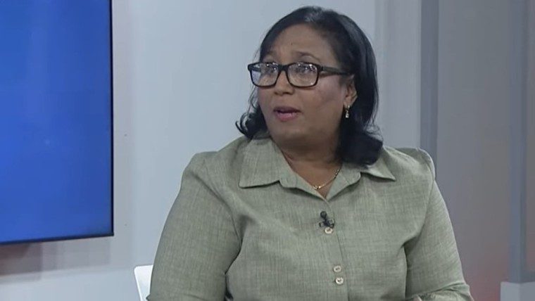 Viceministra de Salud actualiza sobre el virus del chikungunya en Cuba: “no provoca formas graves, pero es muy molesto”