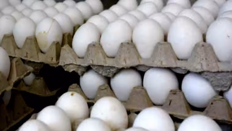 Huevos en Cuba: De la abundancia a la escasez. La isla depende ahora de las importaciones