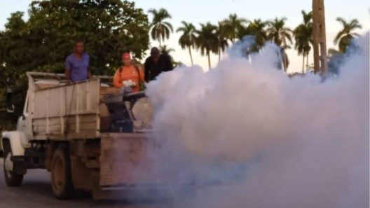 Cuba en alerta: crece la transmisión de dengue y otras arbovirosis en varias provincias