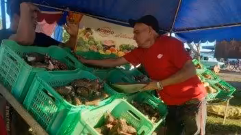 сельскохозяйственные ярмарки