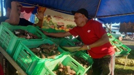 Las ferias agropecuarias en Cuba: mucho discurso y poca comida en los mercados