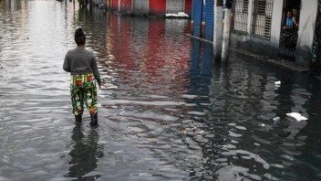 afectaciones melissa