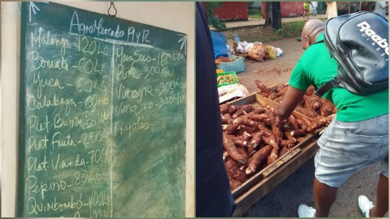 Multas de hasta 16 mil pesos por violar precios agropecuarios en La Habana