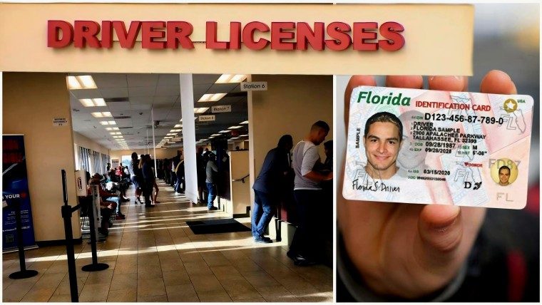 Nuevos cambios respecto a las licencias de conducir para inmigrantes en Estados Unidos