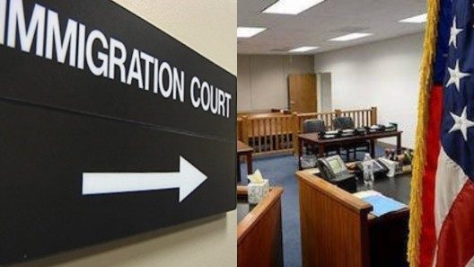 Trump ordena revisar casos y volver a entrevistar a más de 200 mil refugiados