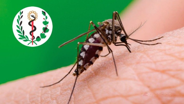 Chikungunya: especialistas explican por qué algunos pacientes mejoran y luego recaen