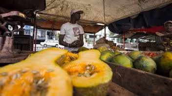 Lista actualizada de precios en Cuba: así están los alimentos en los mercados