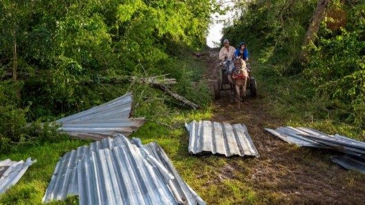 Redes explotan contra la medida del 50% en materiales de construcción: «¿Con qué dinero?»