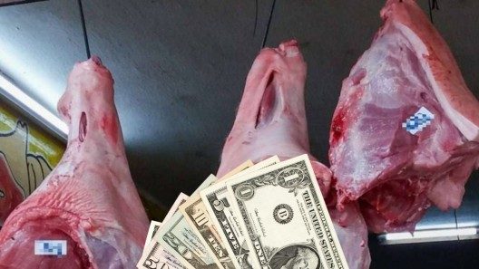 Así luce una compra de 40 dólares en Cuba: los precios indignan a las redes