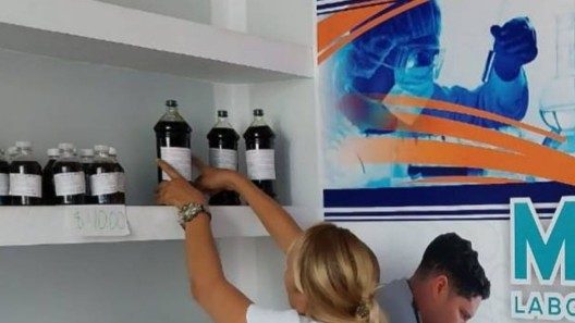 200 CUP el litro: así llega el repelente de caña santa que promete protección a los cubanos