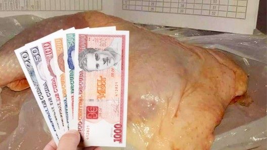 ¿Dónde se gana más en Cuba? Nuevos datos revelan la brecha salarial por sectores