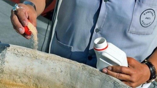 Cuba arranca la producción de «abate» para intentar frenar el dengue