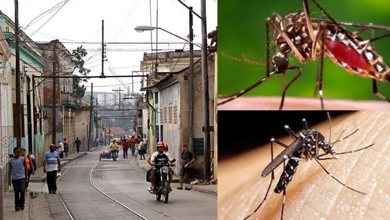 El chikungunya se dispara en Santiago: síntomas más agresivos y casos más visibles que el dengue