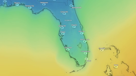 Alerta de frío inusual en Miami: se anuncian mínimas casi récords este martes