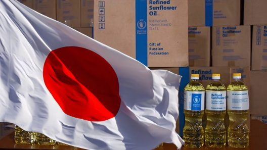 Más donaciones: Japón dona 1 millón de dólares para asistencia alimentaria en Cuba