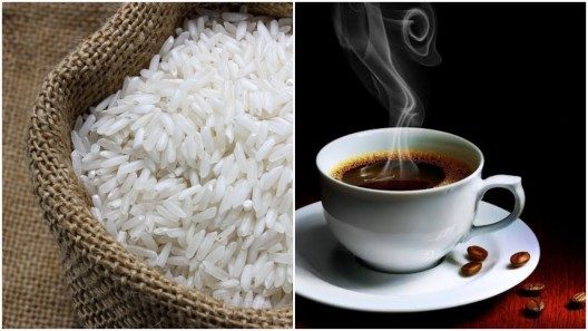 Café y arroz para los cubanos: Gobierno celebra inversión italiana y rusa en ambos productos